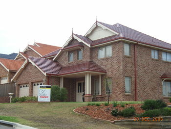 P19.JPG