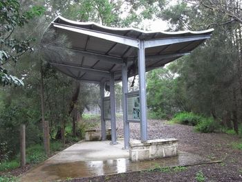 P32.JPG