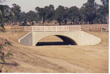 P35.jpg