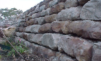 P37.jpg