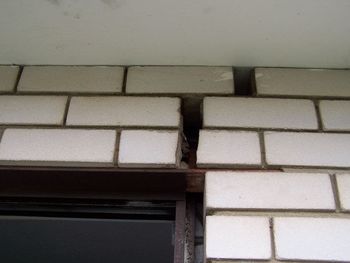 P48.JPG